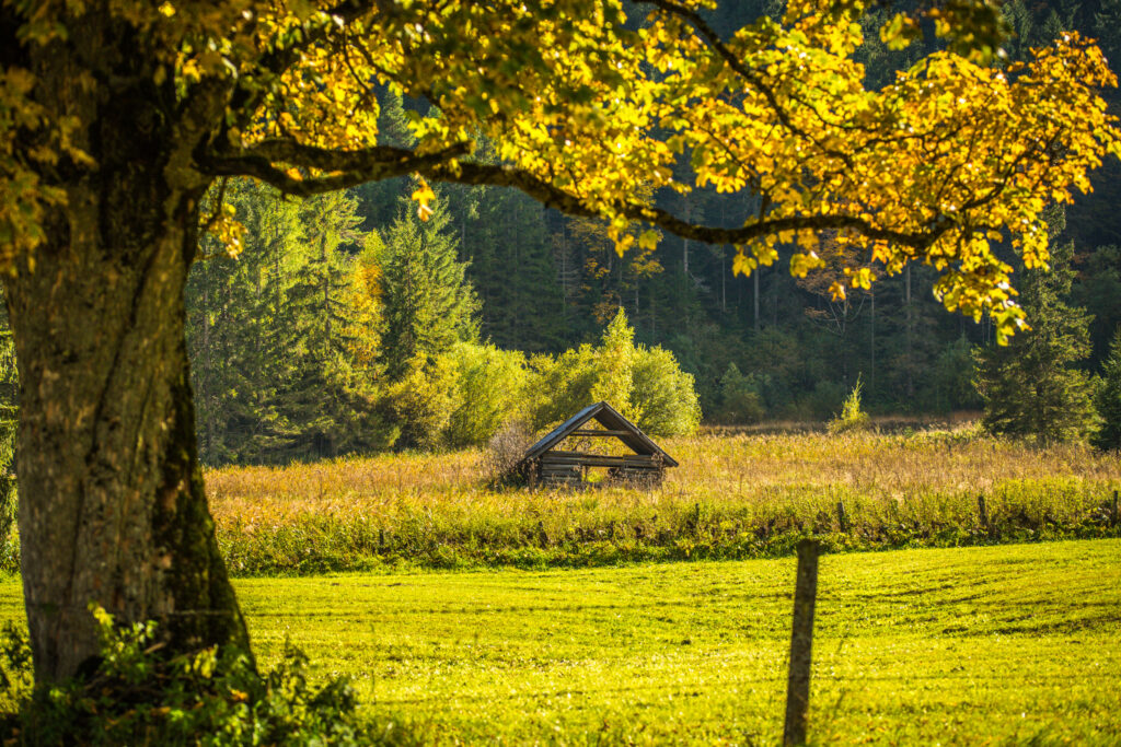 Herbstauszeit-Ramsau-Dachstein