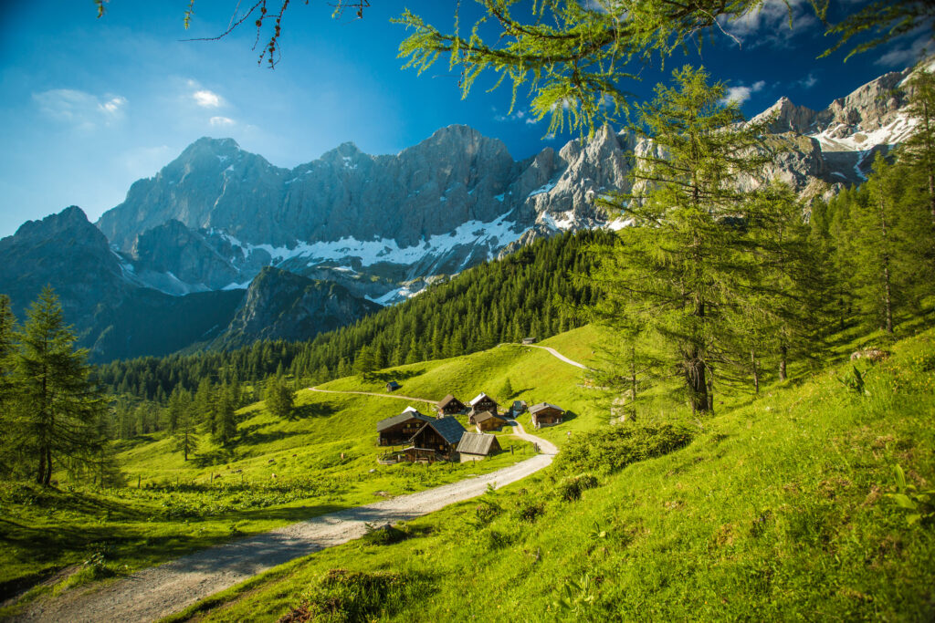 Neustattalmen in Ramsau am Dachstein