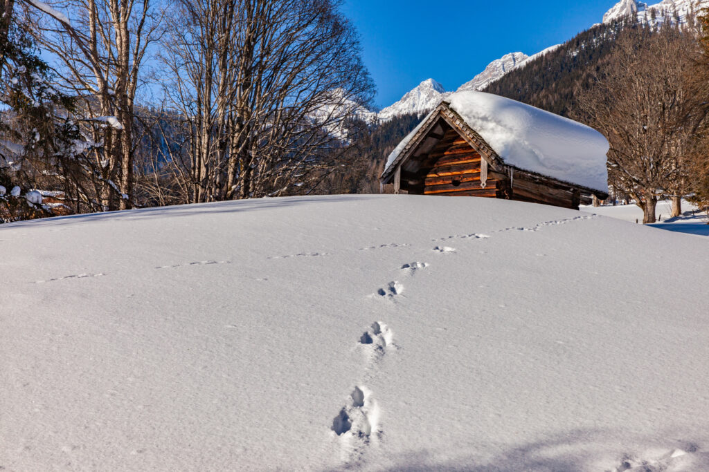 Winter-Auszeit in Ramsau am Dachstein