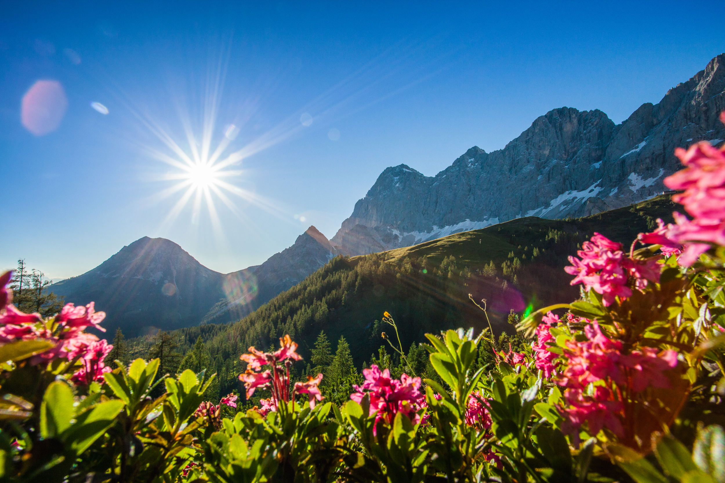 Wandern-Schladming-Dachstein