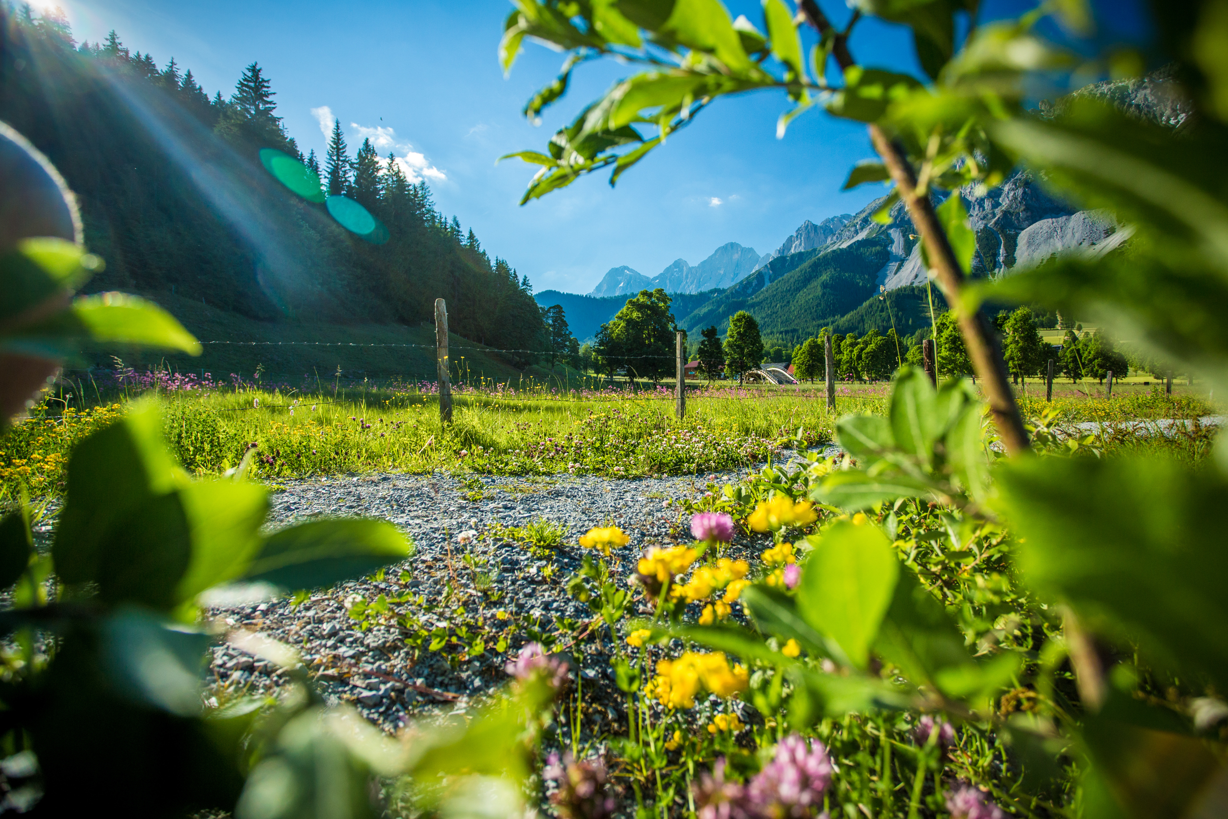 Wandern-in-Ramsau